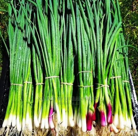Spring Onion
